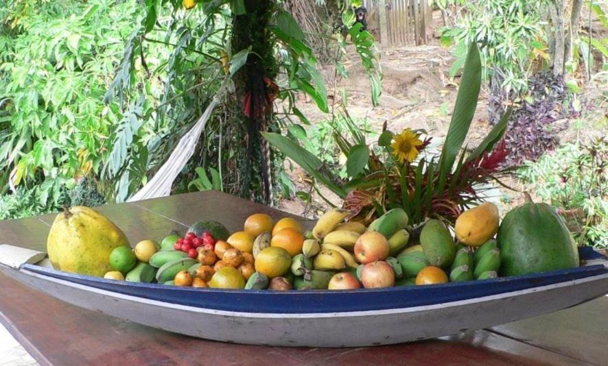 Hotel Eco Sitio Nosso Paraiso Saquarema Eksteriør bilde